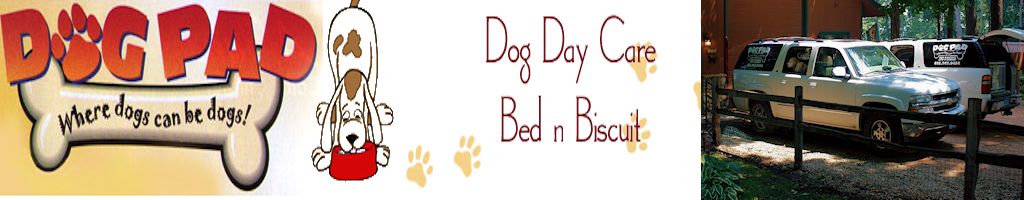 Dog Pad - Professional Dog Boarding and Daycare Specialist