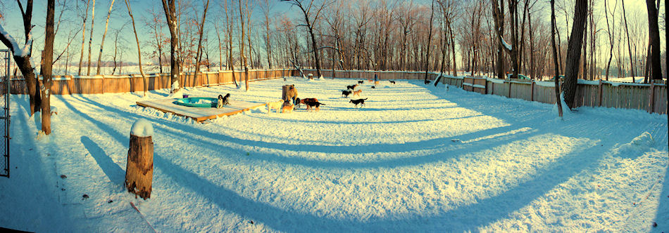 play yard